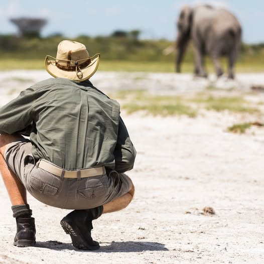 Dinokeng Safaris AA Teesav Official Game Rangers Wear 2