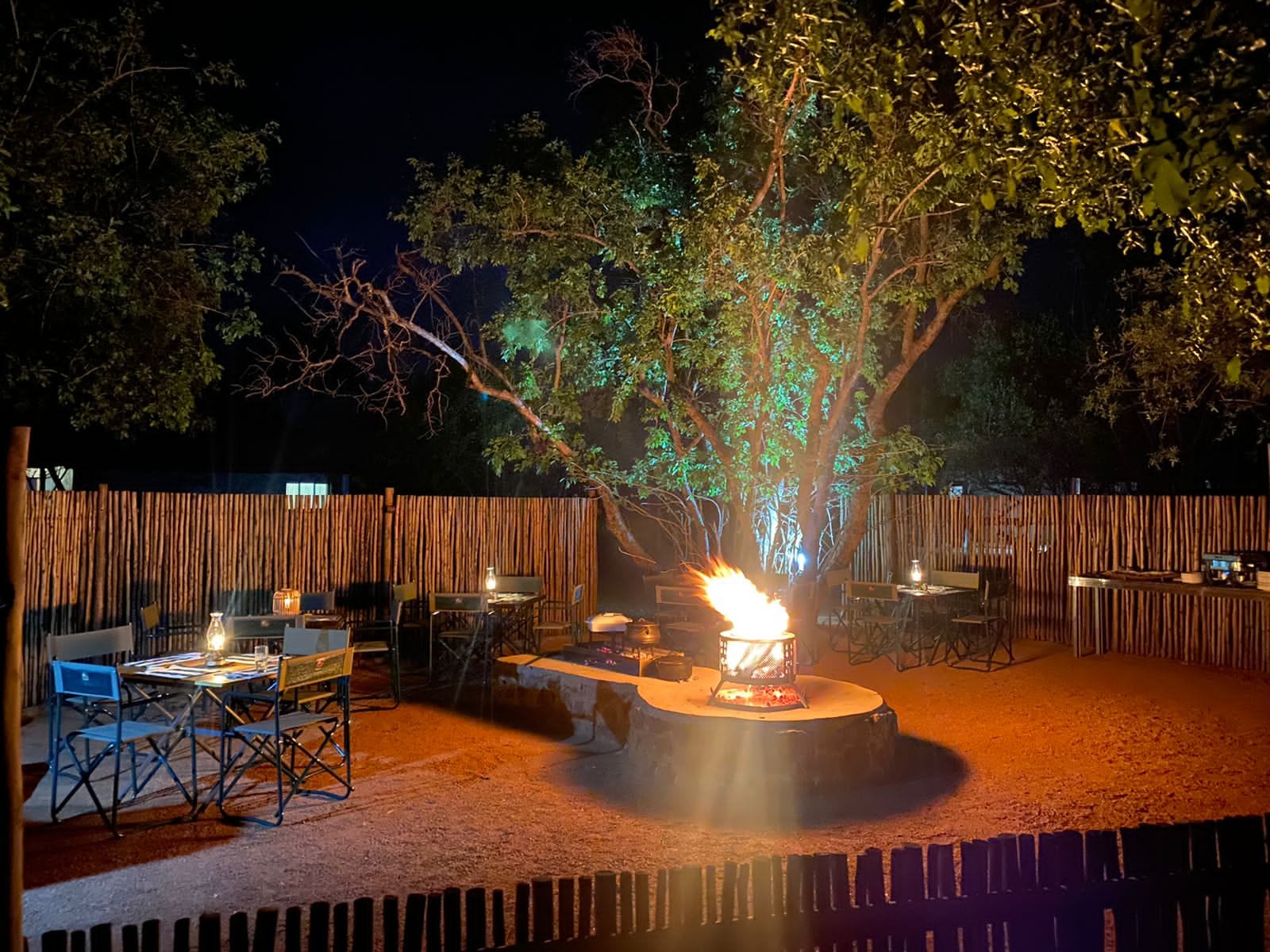 Tendi braai